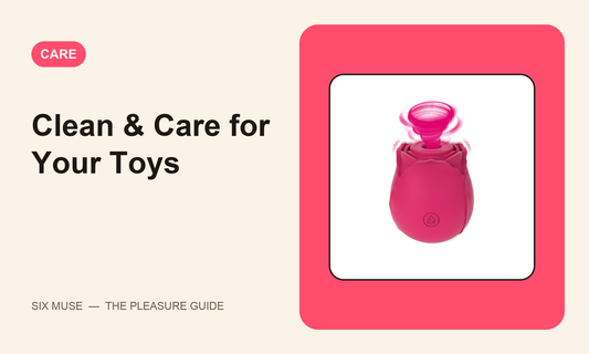 Clean and care for your toys — SixMuse guide